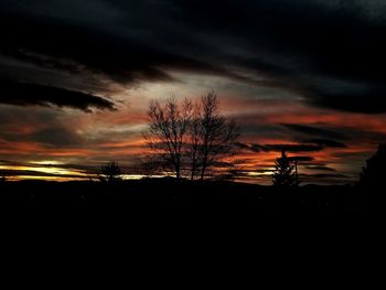 Silhouette trees against sky during sunset