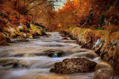 Scenic view of river flowing through rocks