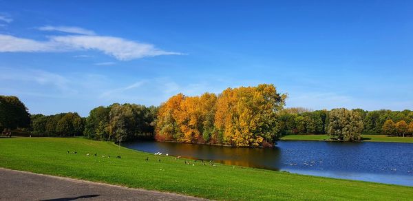 Scenic view of lake by trees against sky