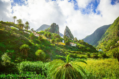 Panoramic view of agricultural field against sky