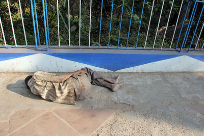 High angle view of cat sleeping in zoo