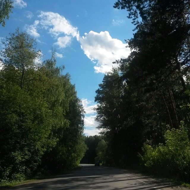 tree, the way forward, sky, tranquility, tranquil scene, growth, diminishing perspective, nature, green color, beauty in nature, vanishing point, cloud - sky, cloud, scenics, footpath, sunlight, day, blue, empty, narrow