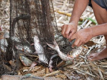 Midsection of man holding fish