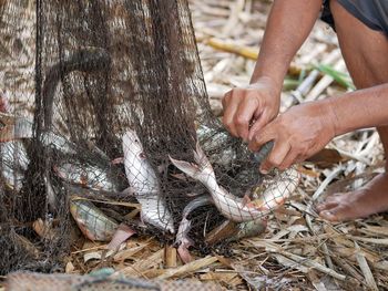 Midsection of man holding fish