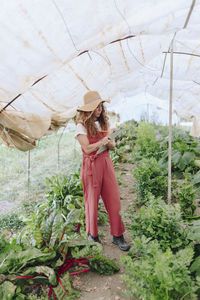 Farmer with clipboard taking vegetables inventory in greenhouse