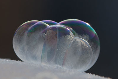 Close-up of bubbles