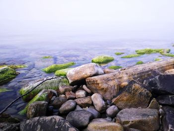 Rocks by sea against sky