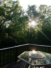 Sunlight falling on table by trees against sky