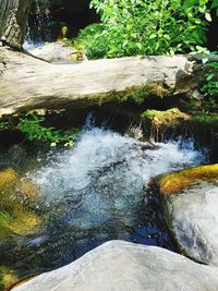 Water flowing through rocks in forest