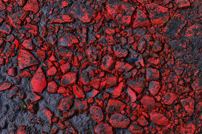 Road of red cracked rocks with mud