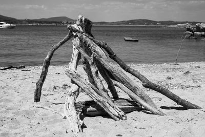 View of driftwood on beach