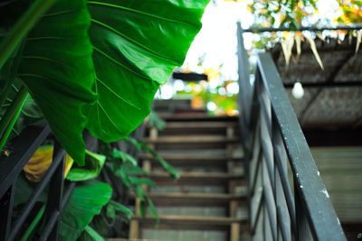 Low angle view of staircase