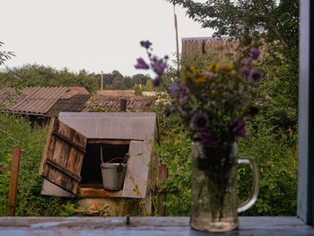 Flowering plants and trees on field against sky