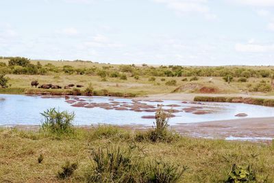 Scenic view of lake against sky