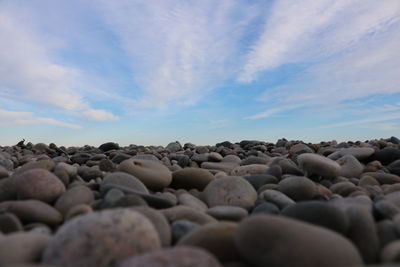 Surface level of pebble beach against sky