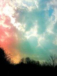 Low angle view of silhouette trees against sky