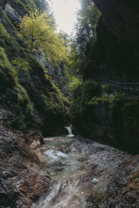 Scenic view of waterfall in forest against sky