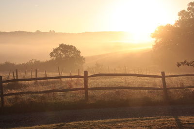 Sunrise in rural kent, uk