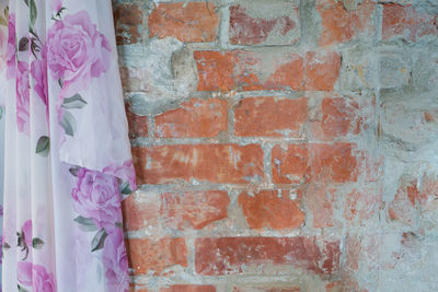 Close-up of pink hanging on brick wall