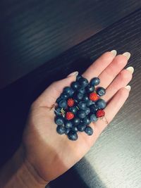 High angle view of hand holding berries