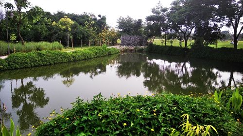 Scenic view of lake by trees against sky