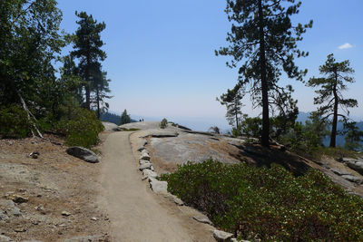 Road amidst trees and plants against sky