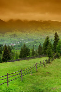 High angle view of fence on grassy field