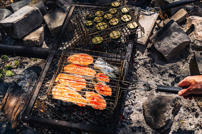 Salmon steaks and zucchini mugs grilled on a grill over a campfire during a picnic in the woods