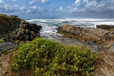 Scenic view of sea against sky