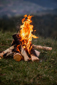 Close-up of campfire at night