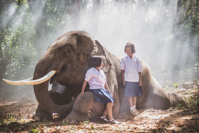 Schoolgirls talking while standing by elephant in forest