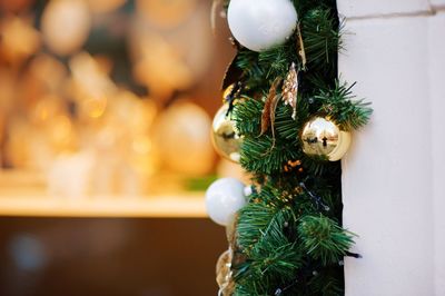 Close-up of christmas tree