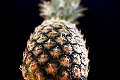 Close-up of fruit against black background