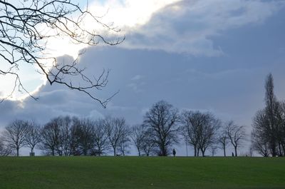 Bare trees against sky