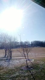 Scenic view of tree against sky