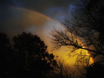 Silhouette trees against rainbow in sky