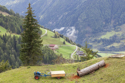 Tractor and a timber log on a alps meadow