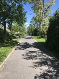 Road amidst trees in park