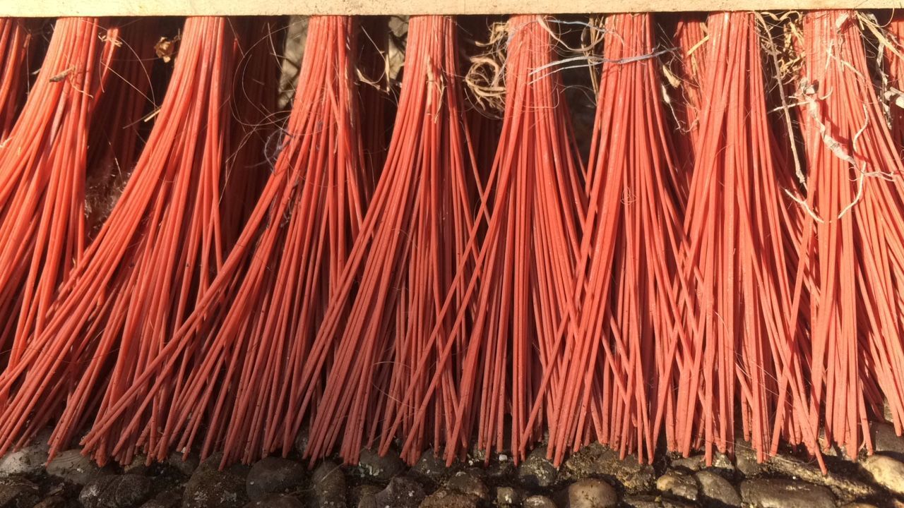 CLOSE-UP OF RED STICKS ON LAND