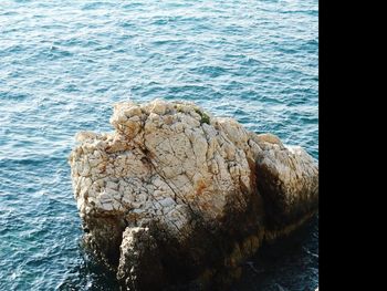 Close-up of rock in sea