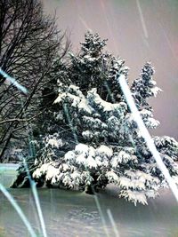 Snow covered trees against sky