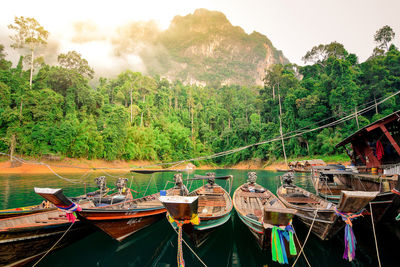 Boats moored by trees against sky