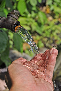 Close-up of hand holding wet leaf