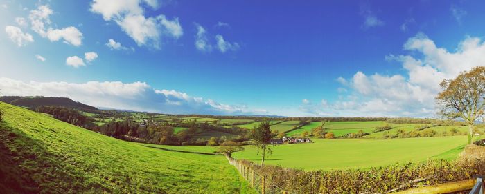 Panoramic view of agricultural field against sky