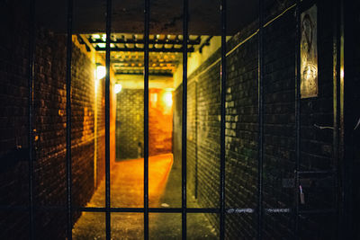 Illuminated lights at night