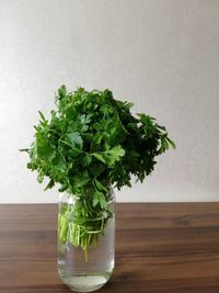 Close-up of potted plant on table against wall