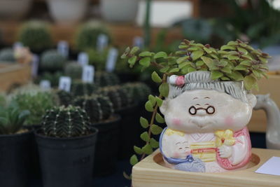 Close-up of potted plant on table