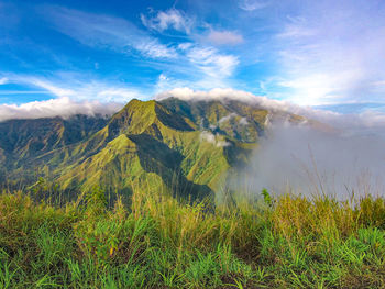 Scenic view of landscape against sky