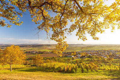 Scenic view of field against sky during autumn