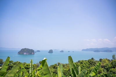 Scenic view of sea against clear sky